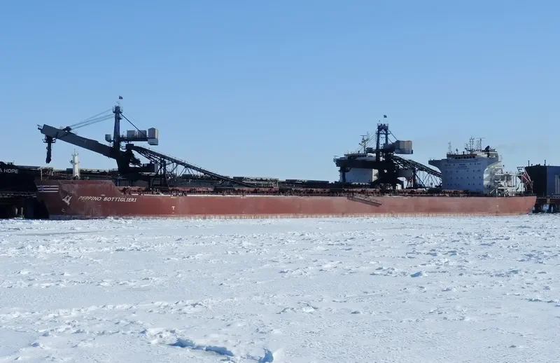 STAR CORAL Bulk Carrier IMO 9477854 photo 8