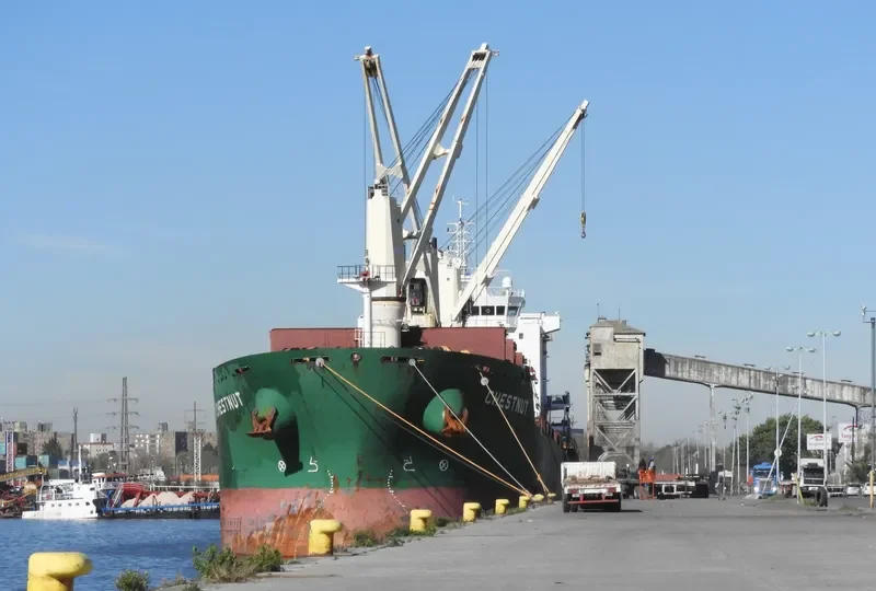 CHESTNUT Bulk Carrier IMO 9477866