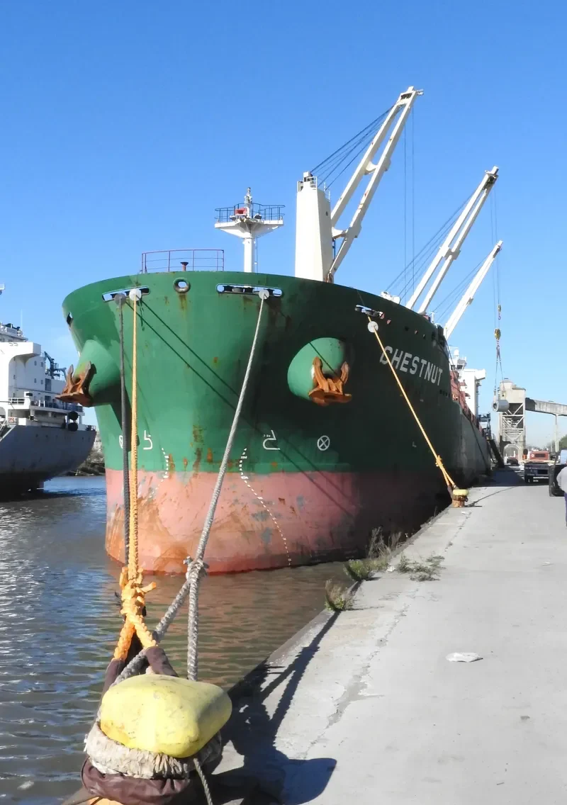 CHESTNUT Bulk Carrier IMO 9477866 photo 2