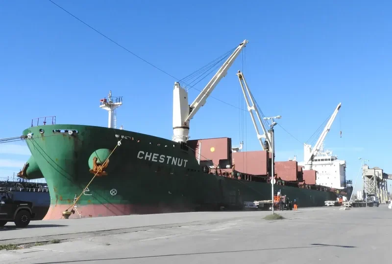 CHESTNUT Bulk Carrier IMO 9477866 photo 3