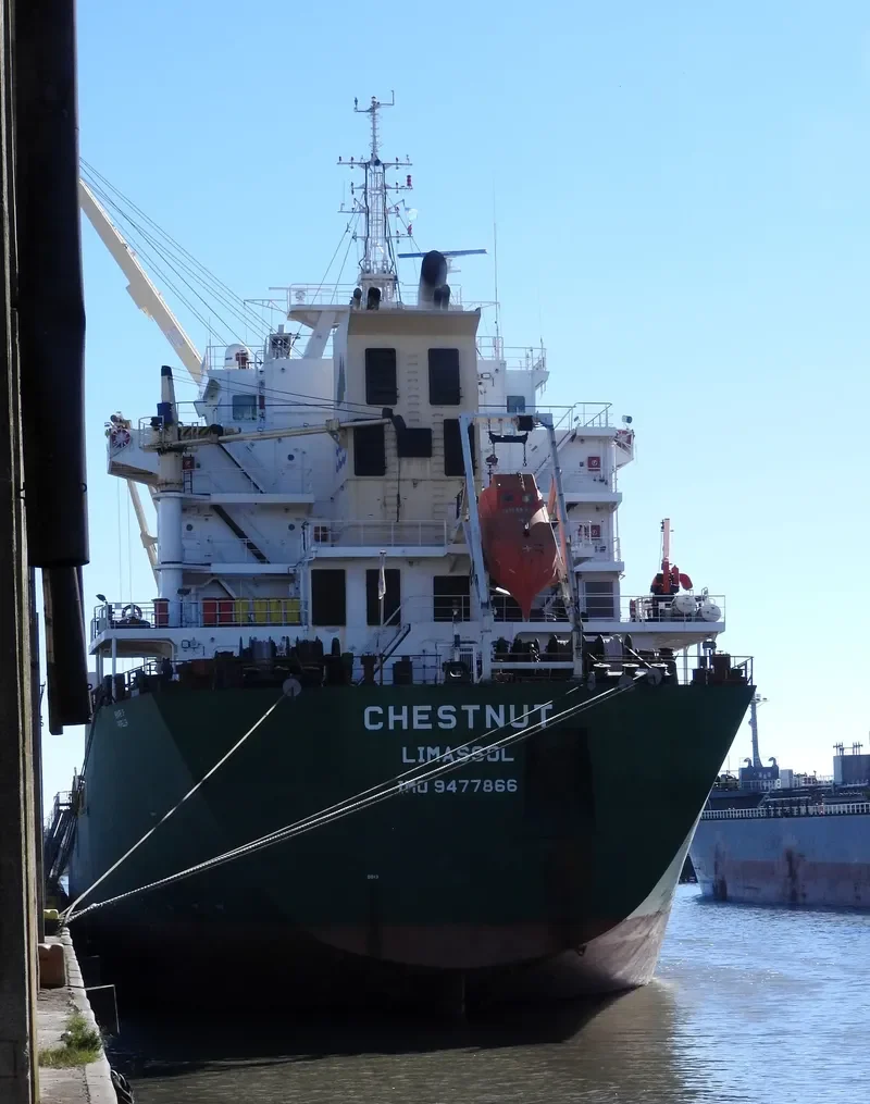 CHESTNUT Bulk Carrier IMO 9477866 photo 4