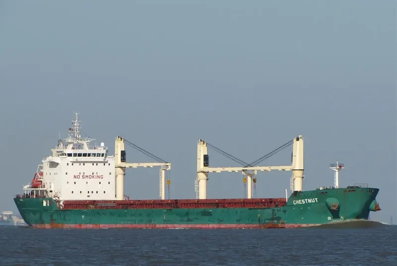 CHESTNUT Bulk Carrier IMO 9477866 photo 5