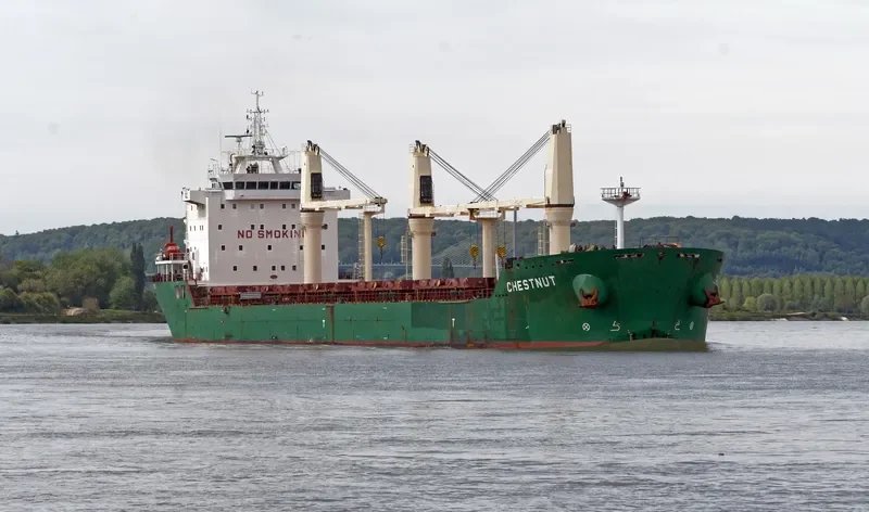 CHESTNUT Bulk Carrier IMO 9477866 photo 6