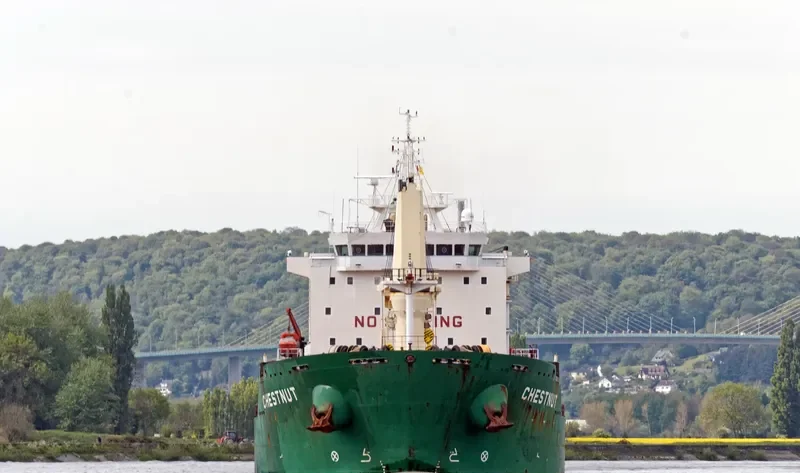 CHESTNUT Bulk Carrier IMO 9477866 photo 7