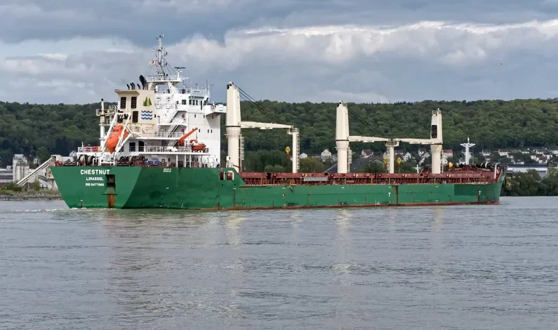 CHESTNUT Bulk Carrier IMO 9477866 photo 8