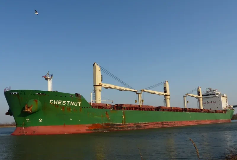 CHESTNUT Bulk Carrier IMO 9477866 photo 9
