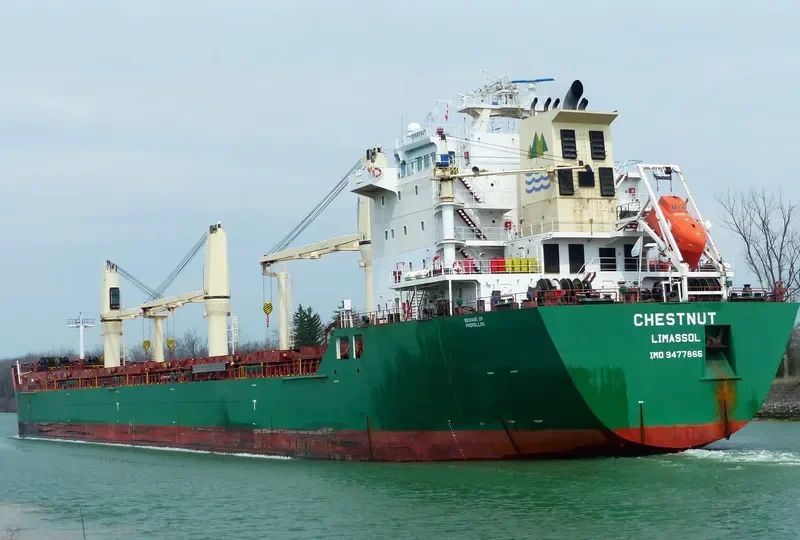 CHESTNUT Bulk Carrier IMO 9477866 photo 10