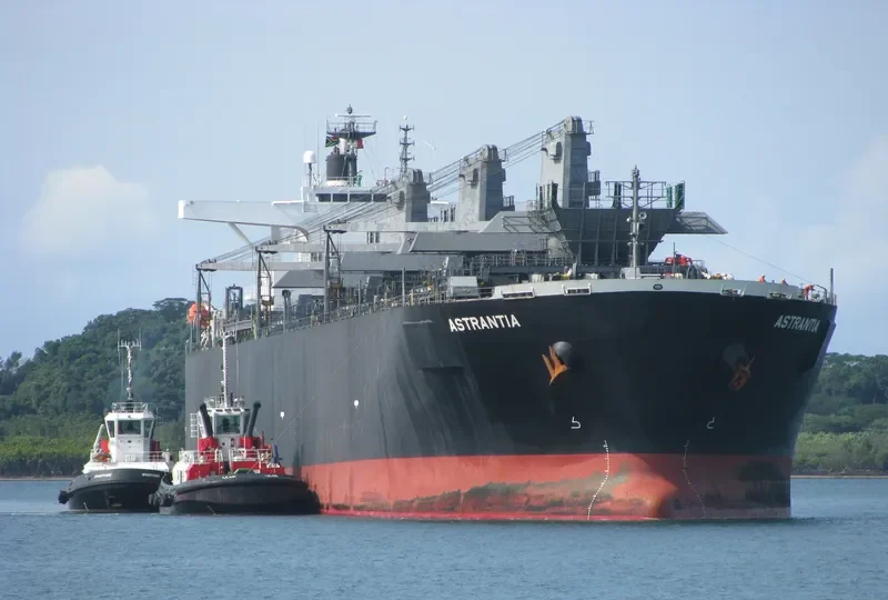 ASTRANTIA Bulk Carrier IMO 9477945 photo 7