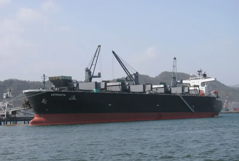 ASTRANTIA Bulk Carrier IMO 9477945 photo 8