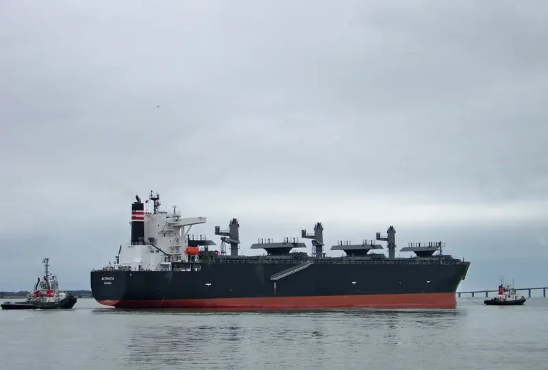 ASTRANTIA Bulk Carrier IMO 9477945 photo 9