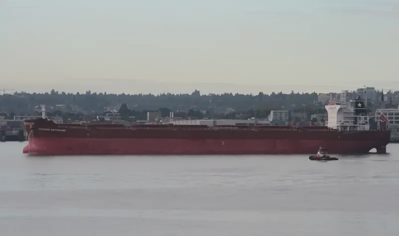 GIOVANNI BOTTIGLIERI Bulk Carrier IMO 9478030 photo 9