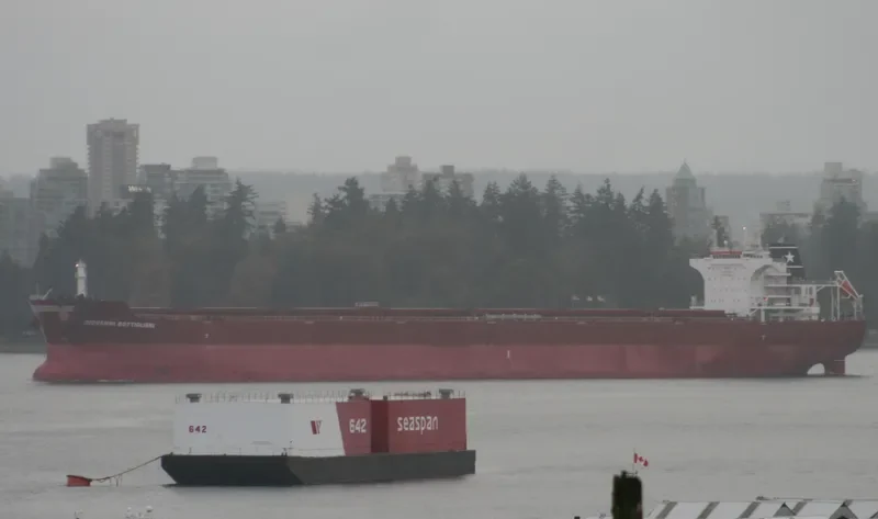 GIOVANNI BOTTIGLIERI Bulk Carrier IMO 9478030 photo 10