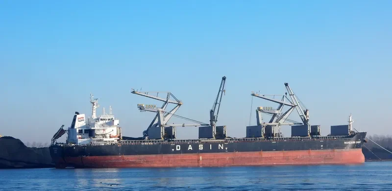 MANDARIN EAGLE Bulk Carrier IMO 9478157 photo 2