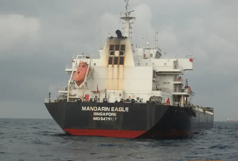 MANDARIN EAGLE Bulk Carrier IMO 9478157 photo 3