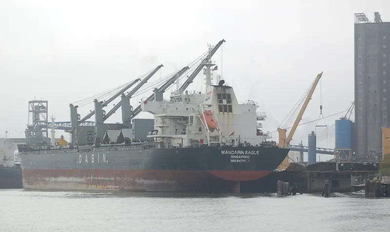 MANDARIN EAGLE Bulk Carrier IMO 9478157 photo 4