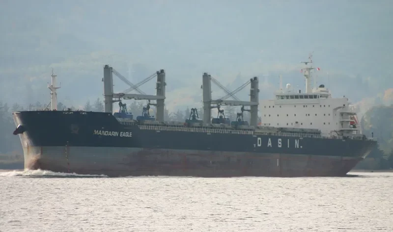 MANDARIN EAGLE Bulk Carrier IMO 9478157 photo 8