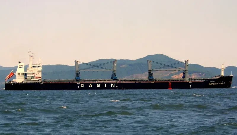 MANDARIN EAGLE Bulk Carrier IMO 9478157 photo 9