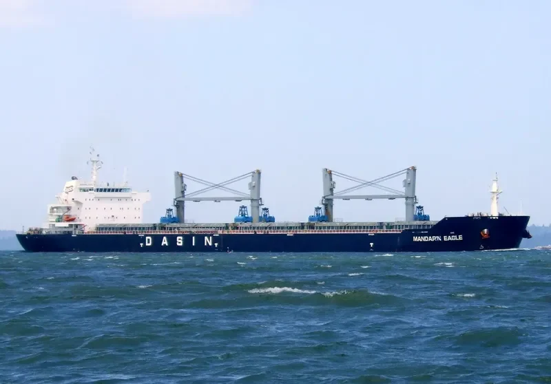 MANDARIN EAGLE Bulk Carrier IMO 9478157 photo 10