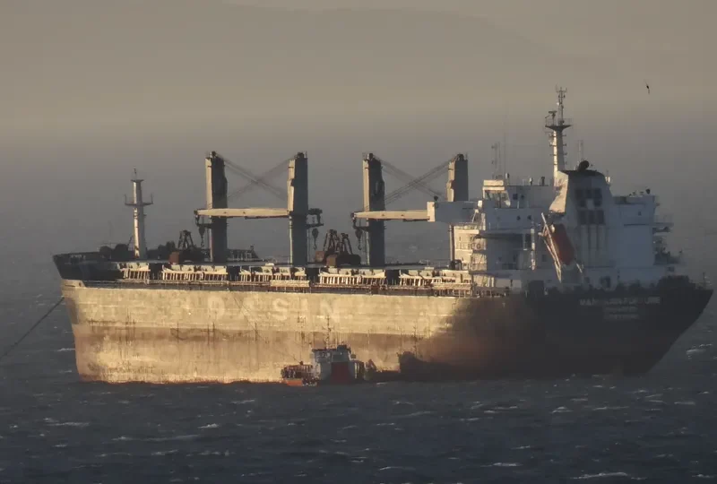 MANDARIN FORTUNE Bulk Carrier IMO 9478169 photo 4