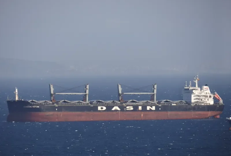 MANDARIN FORTUNE Bulk Carrier IMO 9478169 photo 5