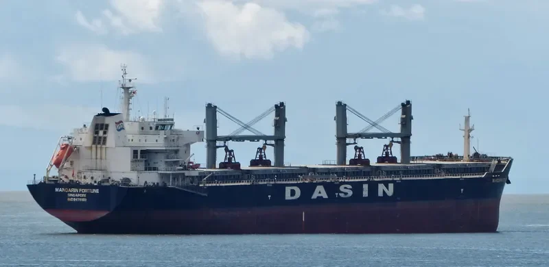 MANDARIN FORTUNE Bulk Carrier IMO 9478169 photo 6