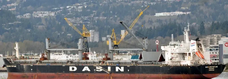 MANDARIN FORTUNE Bulk Carrier IMO 9478169 photo 8