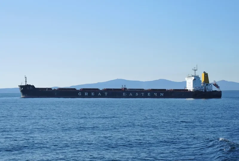 JAG ADITI Bulk Carrier IMO 9478195