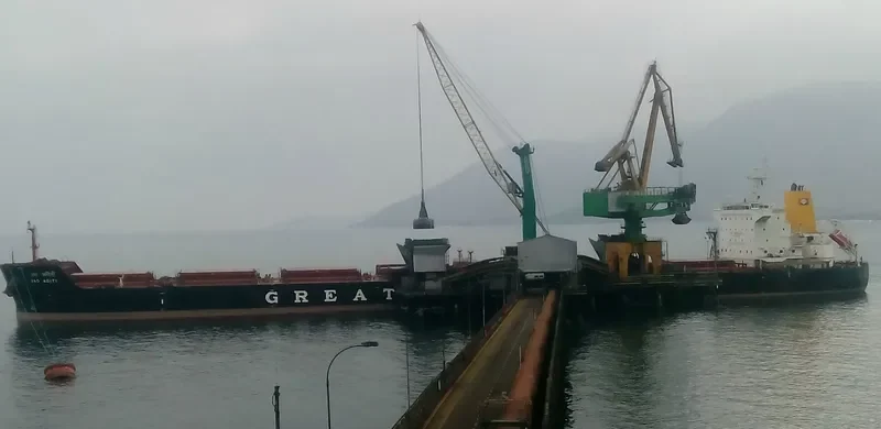 JAG ADITI Bulk Carrier IMO 9478195 photo 3