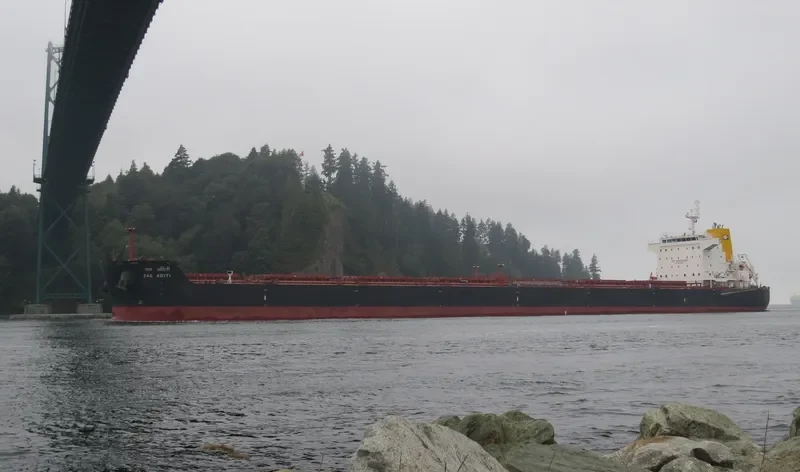 JAG ADITI Bulk Carrier IMO 9478195 photo 7
