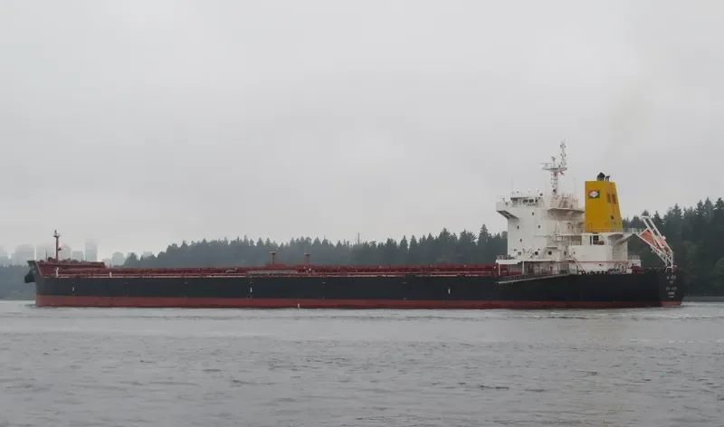 JAG ADITI Bulk Carrier IMO 9478195 photo 8