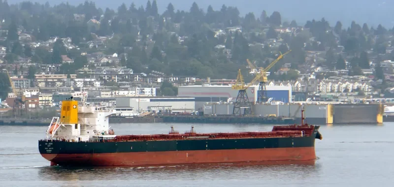 JAG ADITI Bulk Carrier IMO 9478195 photo 10