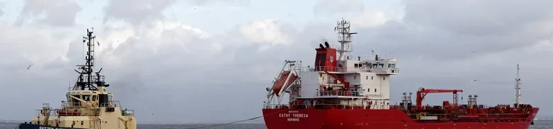 CATHY THERESA Tanker IMO 9478315 photo 2