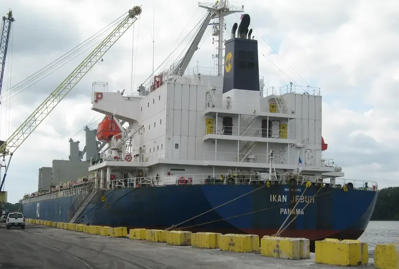 DOUBLE DIAMOND Bulk Carrier IMO 9478470 photo 3