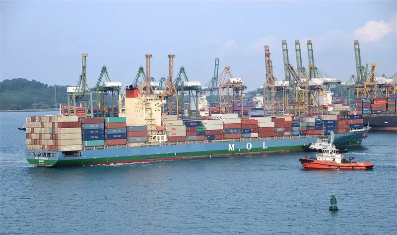NAVIOS DOMINO Container Ship IMO 9478494 photo 2