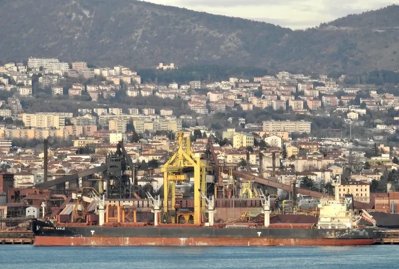 IMPERIAL EAGLE Bulk Carrier IMO 9478511