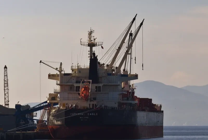IMPERIAL EAGLE Bulk Carrier IMO 9478511 photo 2