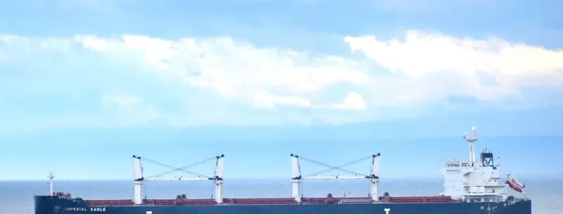 IMPERIAL EAGLE Bulk Carrier IMO 9478511 photo 4