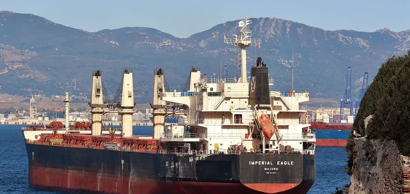 IMPERIAL EAGLE Bulk Carrier IMO 9478511 photo 5