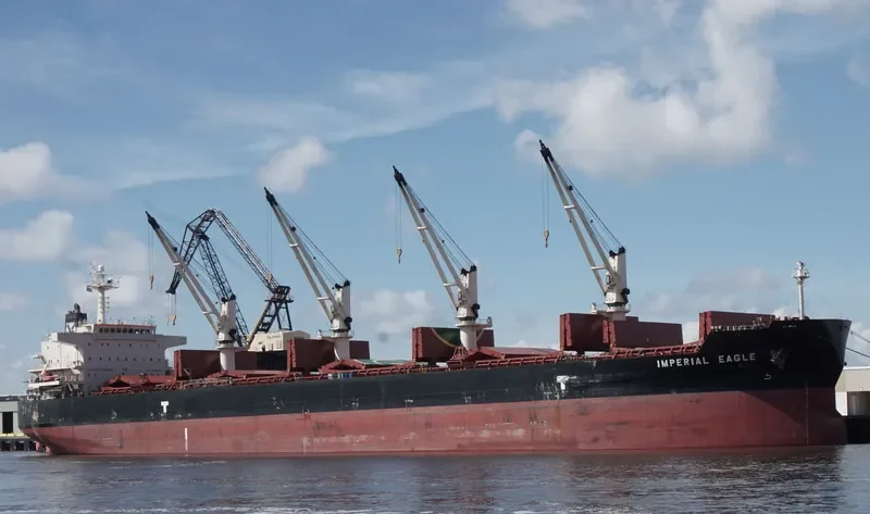 IMPERIAL EAGLE Bulk Carrier IMO 9478511 photo 7