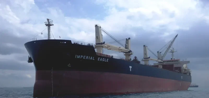 IMPERIAL EAGLE Bulk Carrier IMO 9478511 photo 8