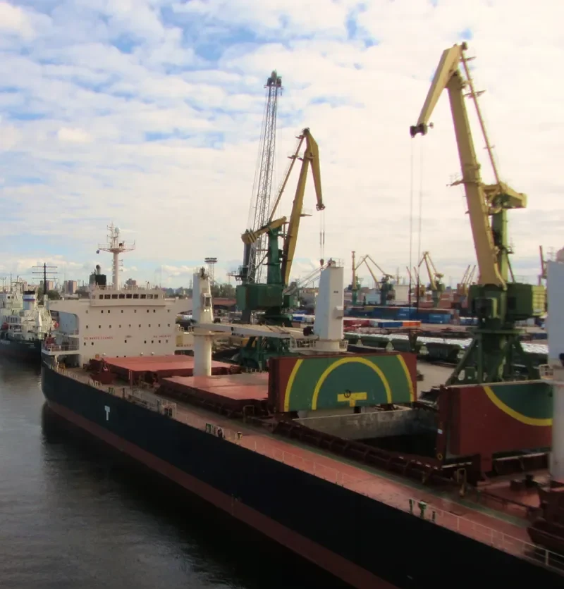 IMPERIAL EAGLE Bulk Carrier IMO 9478511 photo 9
