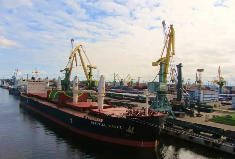 IMPERIAL EAGLE Bulk Carrier IMO 9478511 photo 10