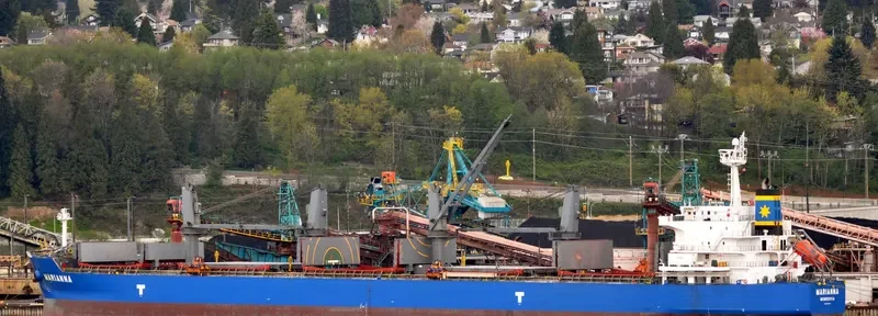 MARIANNA Bulk Carrier IMO 9478523 photo 9