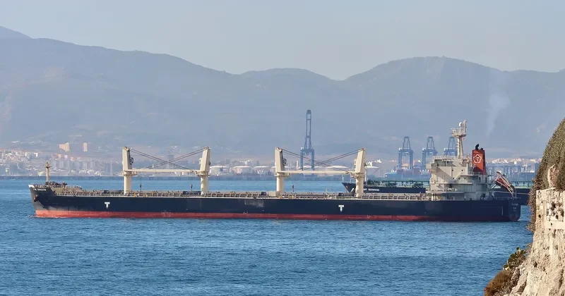 NATASCHA Bulk Carrier IMO 9478561 photo 4
