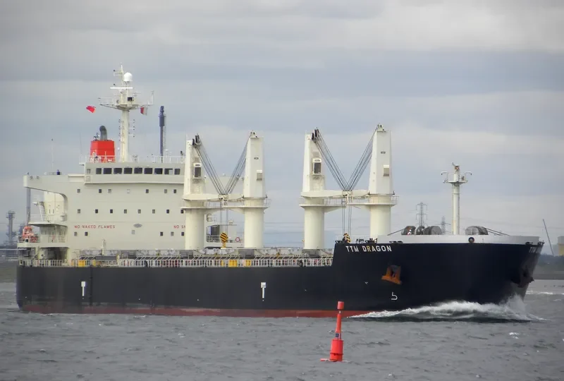 NATASCHA Bulk Carrier IMO 9478561 photo 8