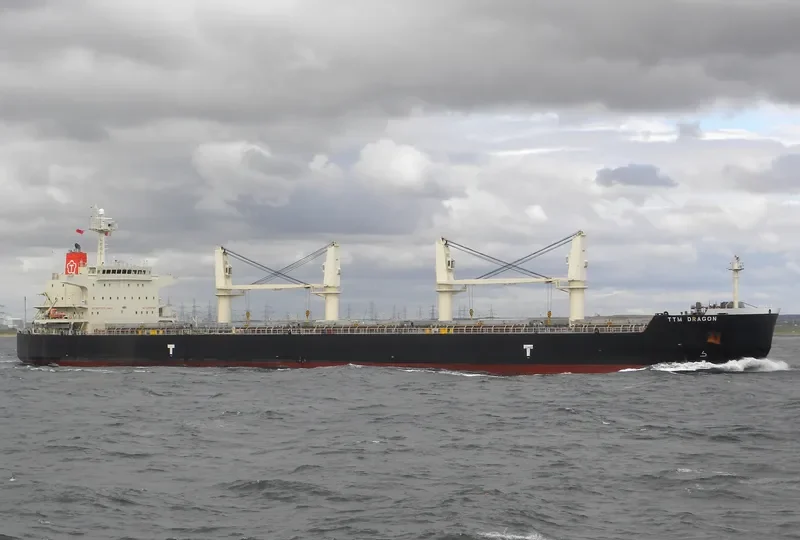 NATASCHA Bulk Carrier IMO 9478561 photo 9