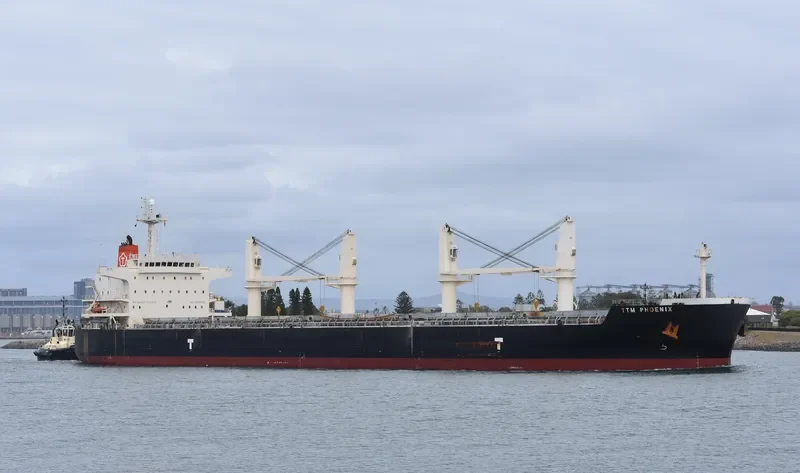 TTM PHOENIX Bulk Carrier IMO 9478573 photo 3