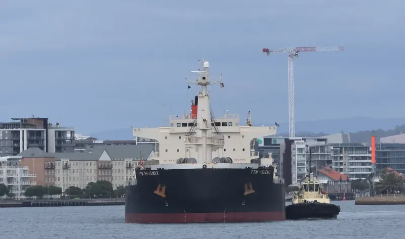 TTM PHOENIX Bulk Carrier IMO 9478573 photo 4