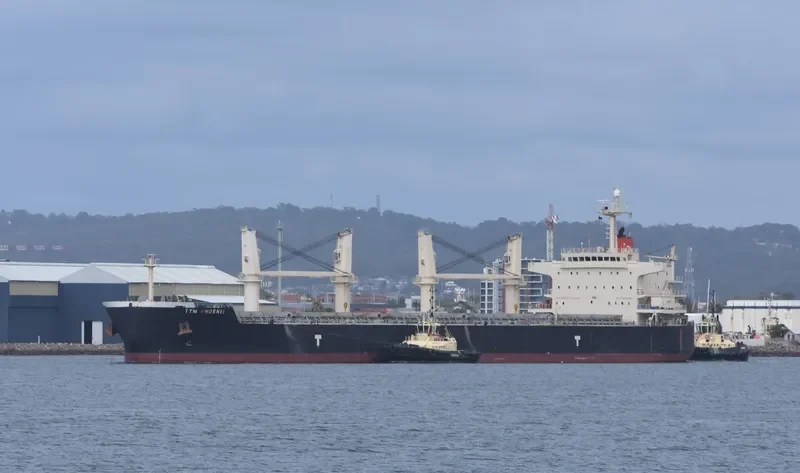 TTM PHOENIX Bulk Carrier IMO 9478573 photo 5
