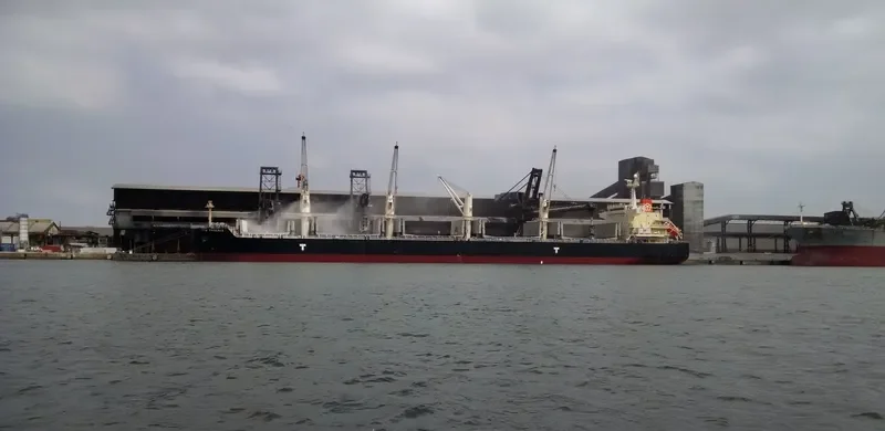 TTM PHOENIX Bulk Carrier IMO 9478573 photo 9